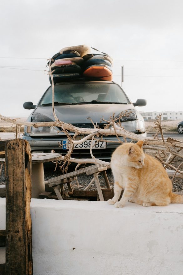 Roof Rack Accessories